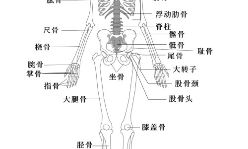 孕中期营养餐-孕妇中期营养粥网孕中期吃什么粥对胎儿发育好知识网站,分享孕妇专用营养粥做法大全
