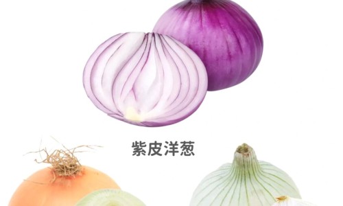 孕妇中期营养粥网孕中期吃什么粥对胎儿发育好知识网站,分享孕妇专用营养粥做法大全