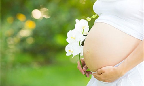 孕妇营养粥200例-孕妇中期营养粥网孕中期吃什么粥对胎儿发育好知识网站,分享孕妇专用营养粥做法大全