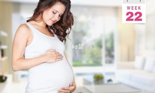 孕妇中期营养粥怎么吃-孕妇中期营养粥网孕中期吃什么粥对胎儿发育好知识网站,分享孕妇专用营养粥做法大全